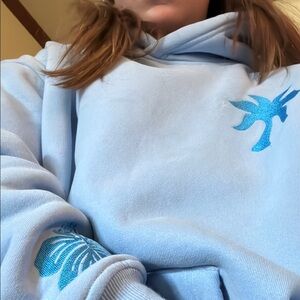 Light Blue Hoodie with Embroidered Design